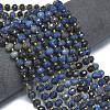 Natural Blue Agate Beads Strands G-K389-E48-01-2