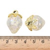 Transparent Acrylic Pendants OACR-I021-02C-3