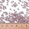 TOHO Round Seed Beads SEED-TR08-0166-4