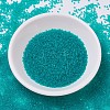 MIYUKI Delica Beads SEED-MY11-DB0786-2