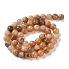 Natural Sunstone Beads Strands G-C268-B05-02-3