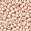 6/0 Glass Seed Beads SEED-S058-A-F209-3