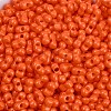 Baking Paint Glass Seed Beads X1-SEED-K010-A10-2