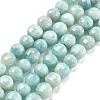 Natural Amazonite Beads Strands G-C179-J01-01-2