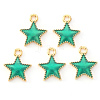 Alloy Enamel Charms ENAM-S121-024C-2