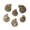 Natural Conch Fossil Pendants BSHE-E025-02P-1