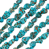 2 Strands Natural Magnesite Beads Strands G-PA0001-53-1