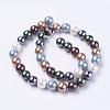 Shell Pearl Beads Strands BSHE-L035-6mm-I14-2