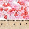 Glass Seed Beads SEED-K010-03P-4