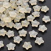 Transparent Acrylic Beads LS-MACR-S373-26E-11-1