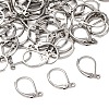 Tarnish Resistant 316L Surgical Stainless Steel Leverback Earring Findings STAS-E194-03P-2