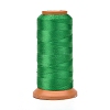 Polyester Threads NWIR-G018-E-19-1