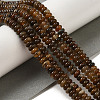 Natural Red Agate Beads Strands G-NH0017-D02-02-2