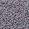 TOHO Round Seed Beads SEED-TR11-PF2122-2