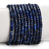 Natural Lapis Lazuli Beads Strands GG-CBA767B-A04-2