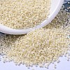 MIYUKI Delica Beads SEED-MY11-DB0157-4