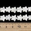 Natural Trochid Shell/Trochus Shell Beads Strands SH-CBA2978-17B-2
