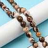 Natural Zebra Jasper Beads Strands G-C079-B01-02-2