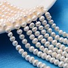 Natural Cultured Freshwater Pearl Beads Strands X-PEAR-L001-H-07-1