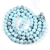 Baking Paint Glass Beads Strands DGLA-N013-10mm-03-2