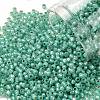 TOHO 11/0 Round Beads X-SEED-TR11-PF2119-1