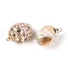 Electroplate Natural Spiral Shell Pendants SSHEL-N042-08-2