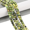 Natural Serpentine Beads Strands X-G-G829-06-10mm-3