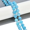 Natural Amazonite Beads Strands G-G182-B10-05-2