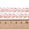 Baking Paint Transparent Glass Beads X1-DGLA-N011-8mm-03-4