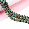 Natural Chrysocolla Beads Strands G-I318-09C-2