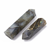 Natural Labradorite Beads G-T104-03A-3