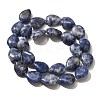 Natural Blue Spot Jasper Beads Strands G-P561-B06-01-3