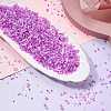 100G Electroplate Glass Seed Beads GLAA-SZ0002-16A-3