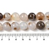 Natural Dendritic Agate Beads Strands G-A248-A07-03-5