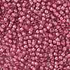 TOHO Round Seed Beads SEED-TR08-0959-2