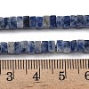 Natural Blue Spot Jasper Beads Strands G-A280-C06-01-6