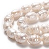 Natural Cultured Freshwater Pearl Beads Strands PEAR-L033-84-01-2