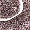 Glass Seed Beads SEED-A032-05B-1