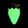 Luminous Acrylic Pendants AC-CBAC788-04F-4