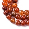 Natural Banded Agate Beads Strands G-H343-D03-12mm-4