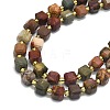 Natural Picasso Jasper Beads Strands G-I376-D86-01-3