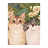 Lovely Cat Flower 5D Diamond Painting Kits for Adults Kids PW-WG60155-01-1