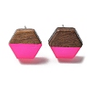 Resin & Walnut Stud Earrings EJEW-R013-01P-4