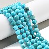 Natural Persian Jade Beads Strands G-A255-A02-02H-2