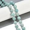 Natural Amazonite Beads Strands G-G182-B17-05-2