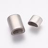 Tarnish Resistant 304 Stainless Steel Magnetic Clasps with Glue-in Ends STAS-K145-17P-2