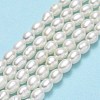 Natural Cultured Freshwater Pearl Beads Strands PEAR-J006-03A-2