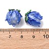 Handmade Lampwork Beads LAMP-F041-02A-4