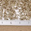 MIYUKI Delica Beads SEED-JP0008-DB2396-4
