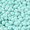 6/0 Opaque Baking Paint Glass Seed Beads SEED-M012-02A-04-3